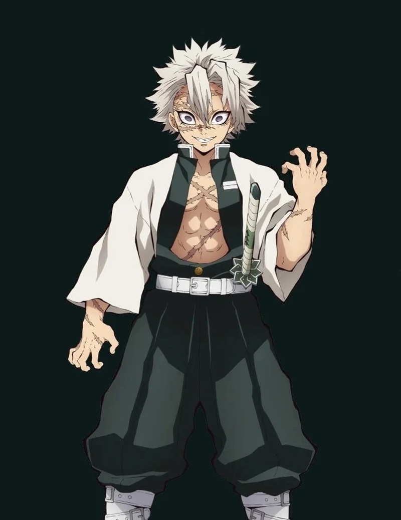 ảnh sanemi ngầu 41