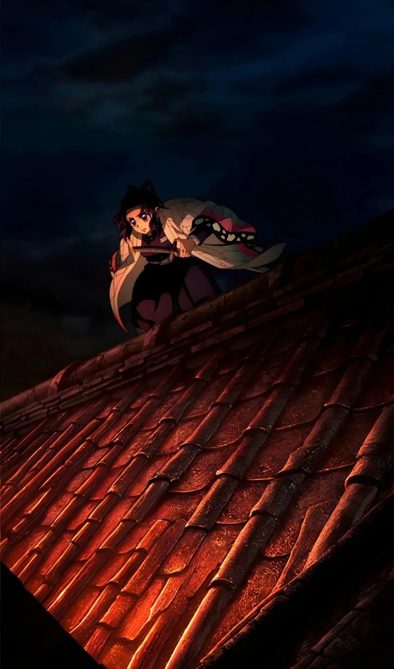 ảnh shinobu ngầu 11