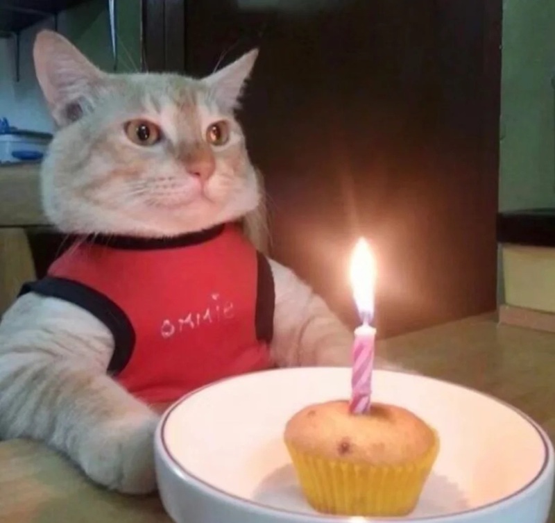 ảnh sinh nhật chế hài 34