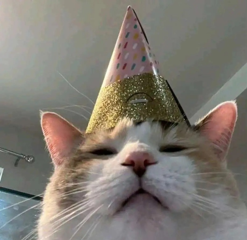 ảnh sinh nhật chế hài 38