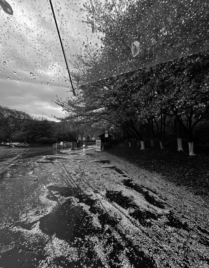 ảnh trắng đen buồn