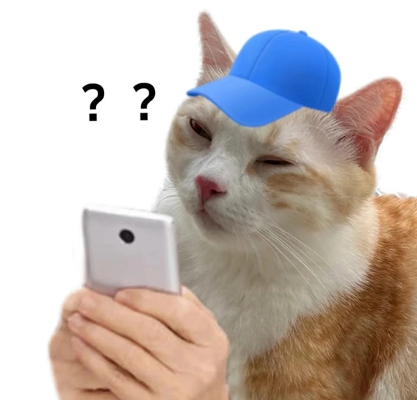 chấm hỏi meme 31