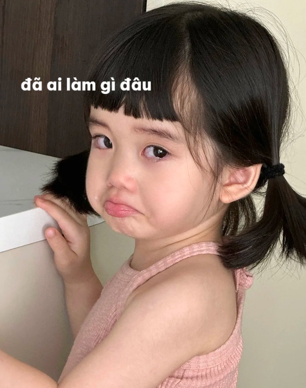 đã ai làm gì đâu meme 9