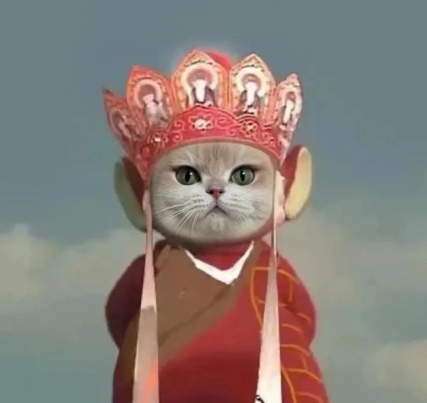 đường tăng meme 4