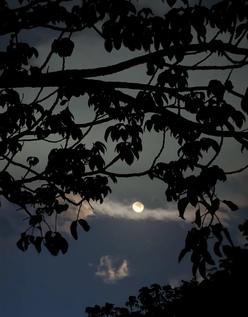 hình ảnh bầu trời đêm buồn 17