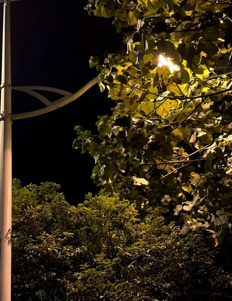 hình ảnh bầu trời đêm buồn 23