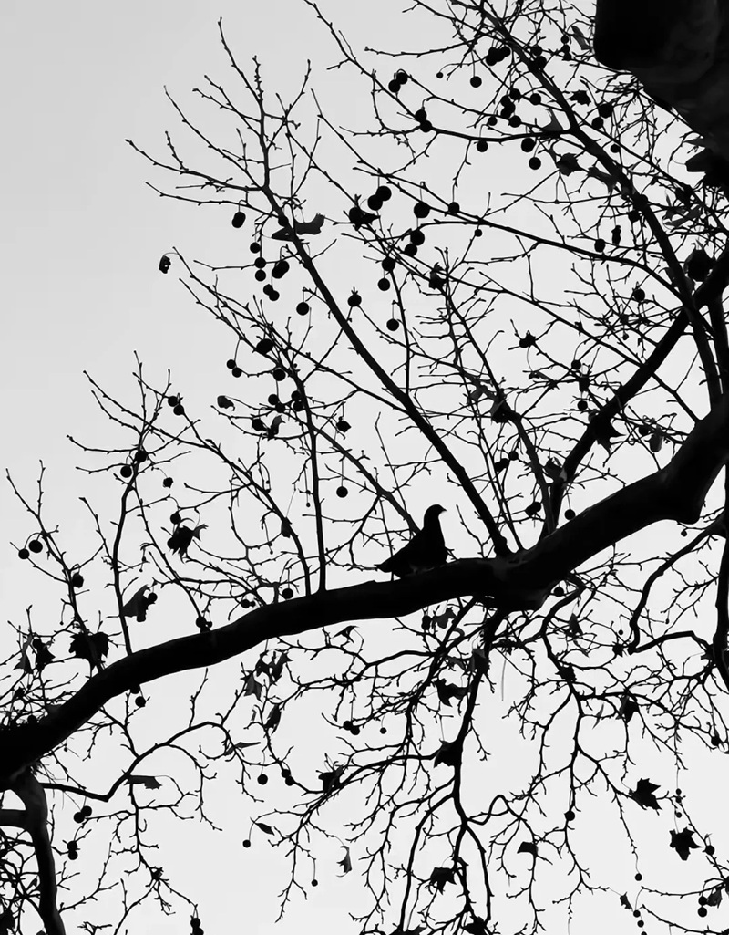 hình ảnh bầu trời đêm buồn 6