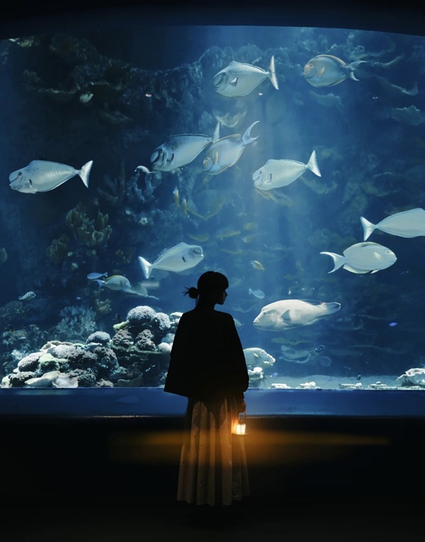 hình ảnh buồn về cuộc sống 23