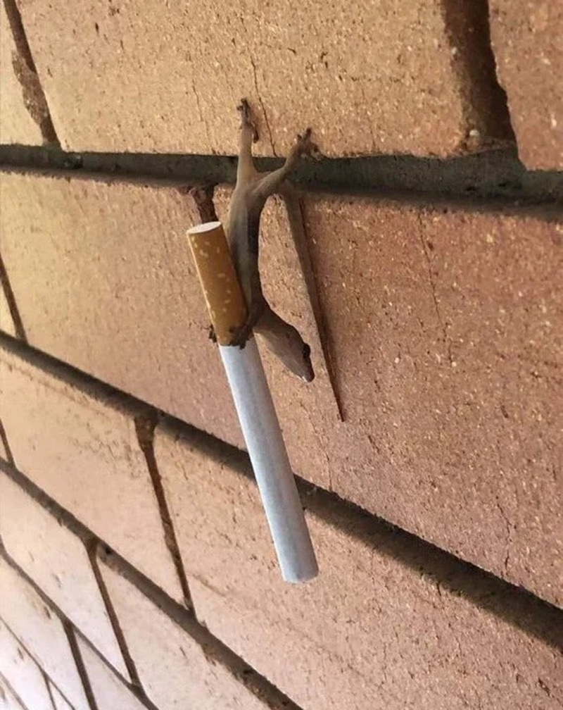 hình ảnh đau lưng hài hước 1