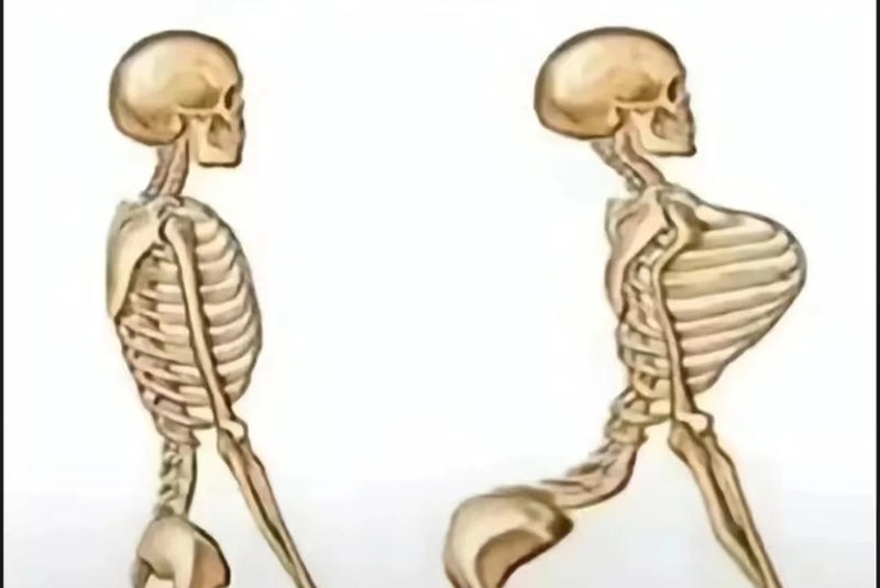 hình ảnh đau lưng hài hước 37