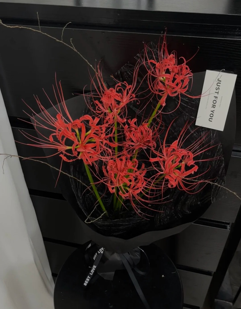 hình ảnh hoa bỉ ngạn buồn 7