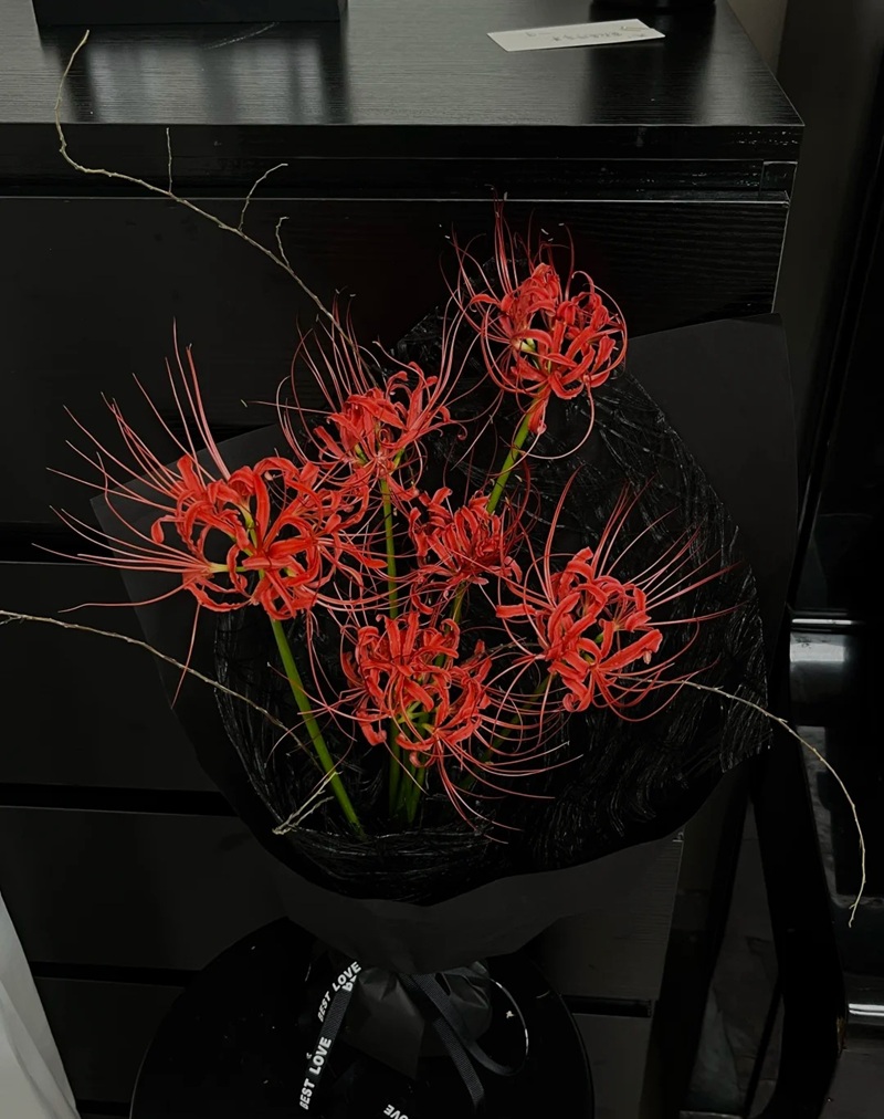 hình ảnh hoa bỉ ngạn buồn 8