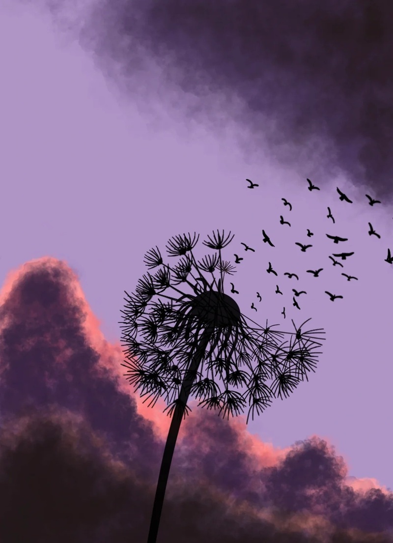 hình ảnh hoa bồ công anh buồn 1