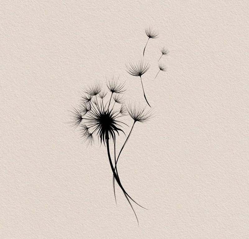 hình ảnh hoa bồ công anh buồn 3