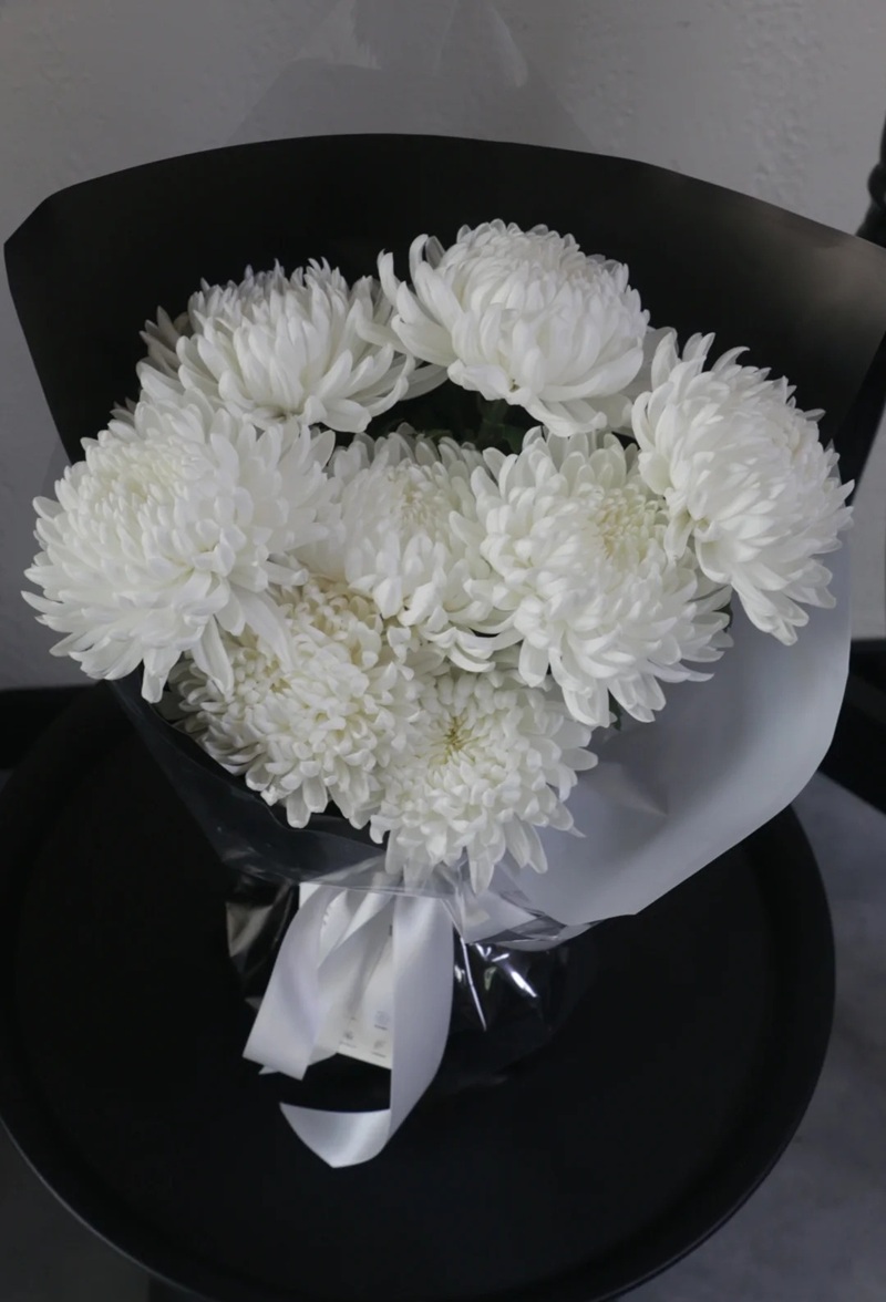 hình ảnh hoa cúc trắng buồn 1