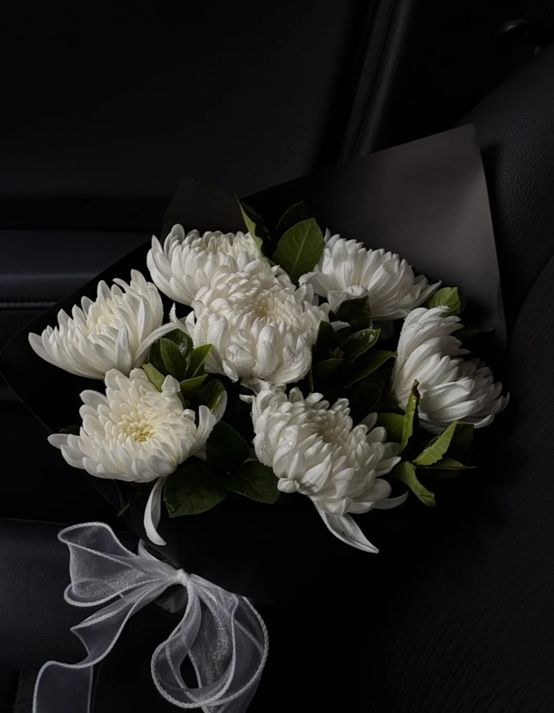 hình ảnh hoa cúc trắng buồn 17