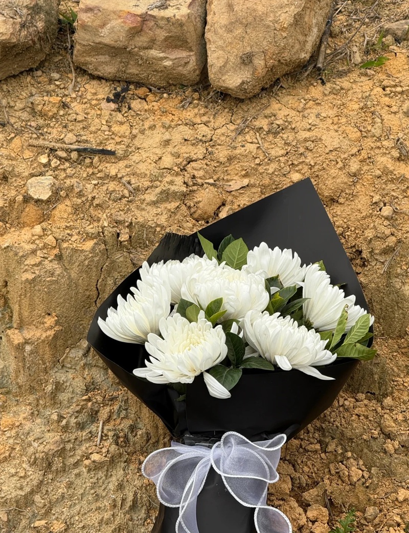 hình ảnh hoa cúc trắng buồn 18