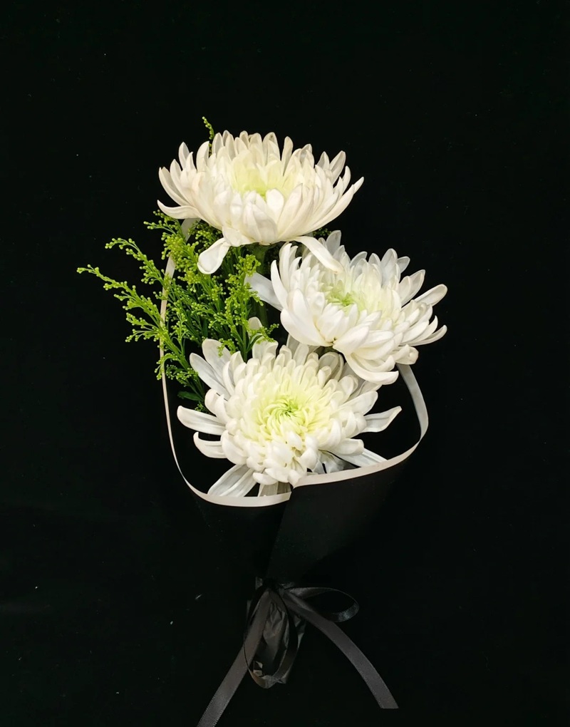 hình ảnh hoa cúc trắng buồn 20