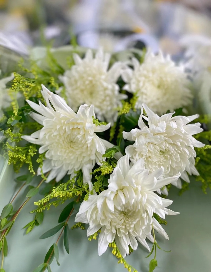 hình ảnh hoa cúc trắng buồn 27