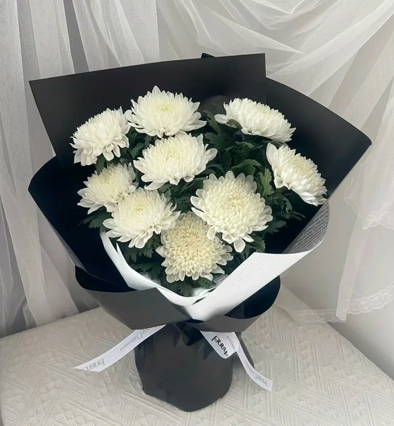 hình ảnh hoa cúc trắng buồn 28