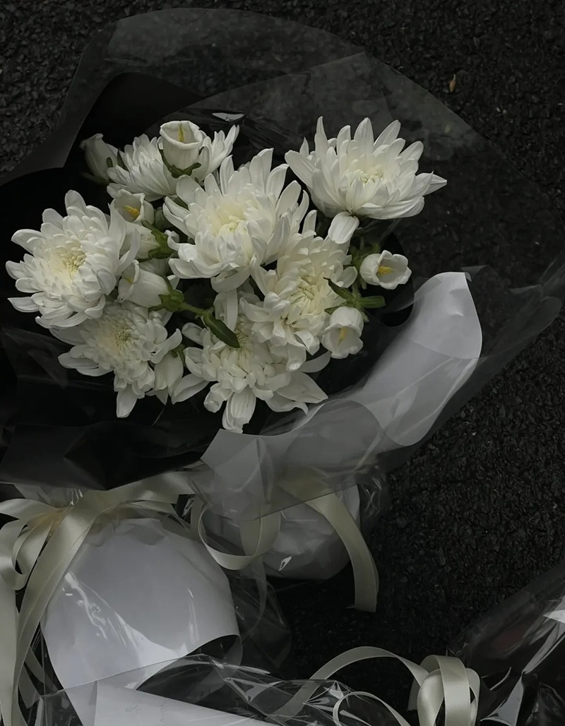 hình ảnh hoa cúc trắng buồn 30