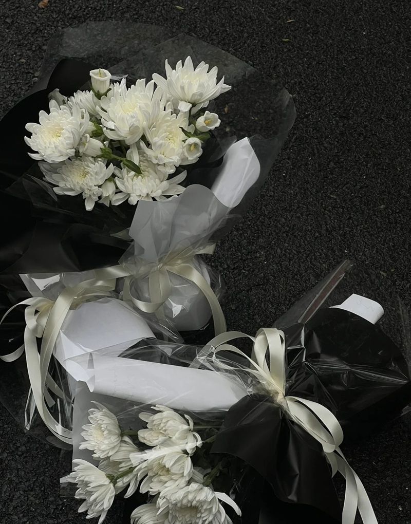 hình ảnh hoa cúc trắng buồn 31