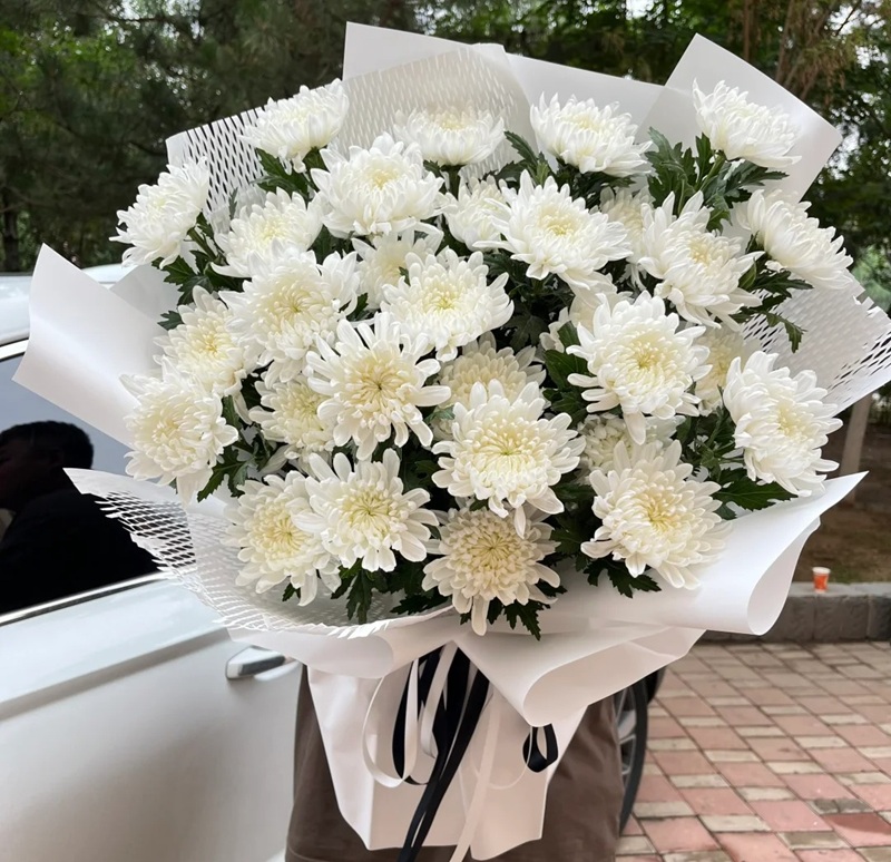 hình ảnh hoa cúc trắng buồn 35