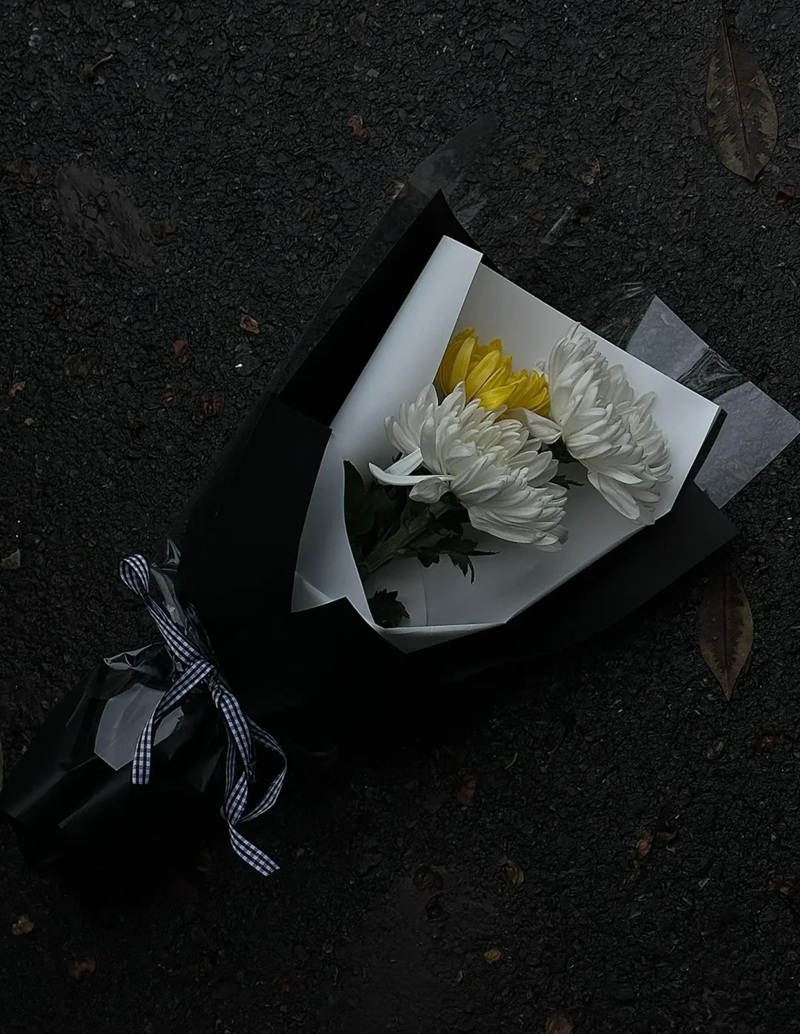 hình ảnh hoa cúc trắng buồn 36