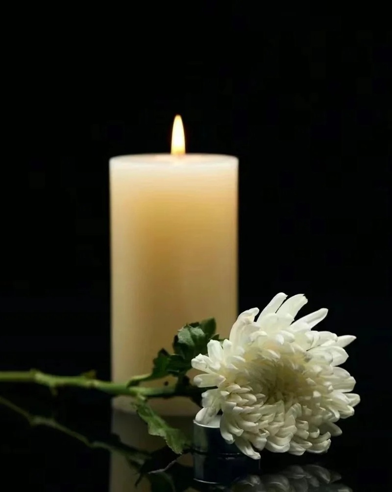 hình ảnh hoa cúc trắng buồn 37