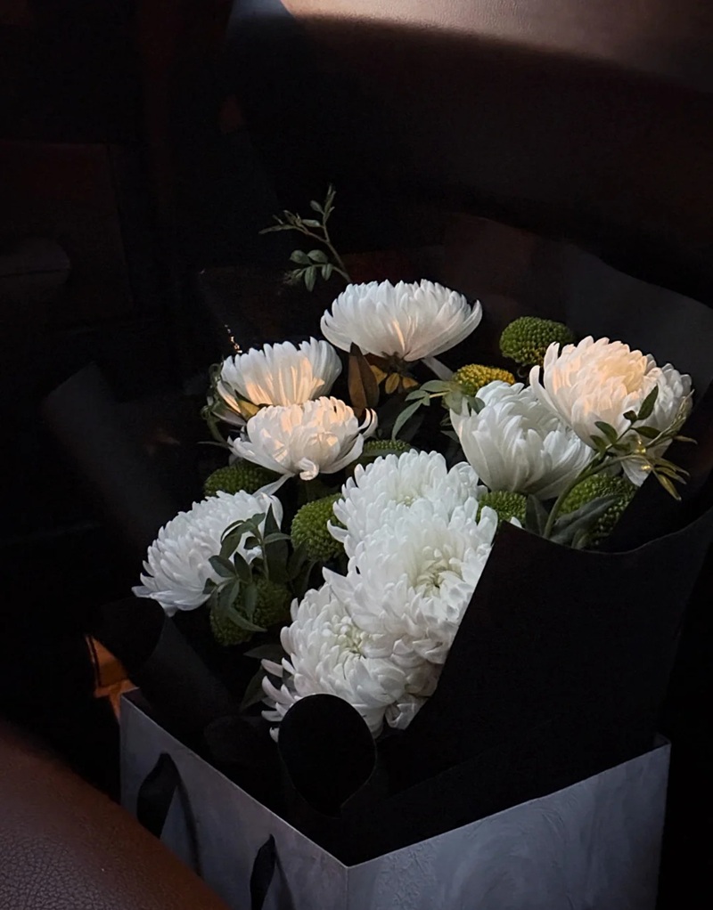 hình ảnh hoa cúc trắng buồn 40