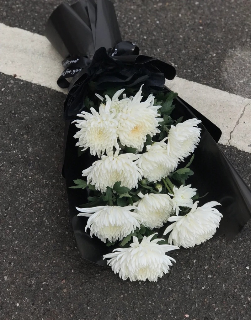 hình ảnh hoa cúc trắng buồn 44