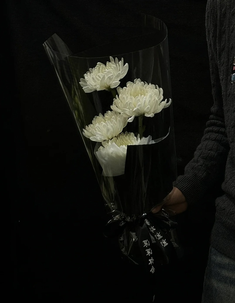 hình ảnh hoa cúc trắng buồn 6