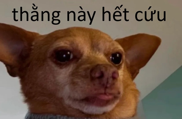 hình ảnh meme hết cứu