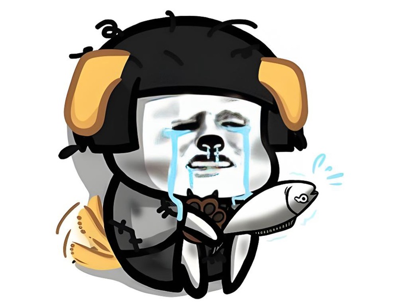 hình ảnh nghèo hài hước 13