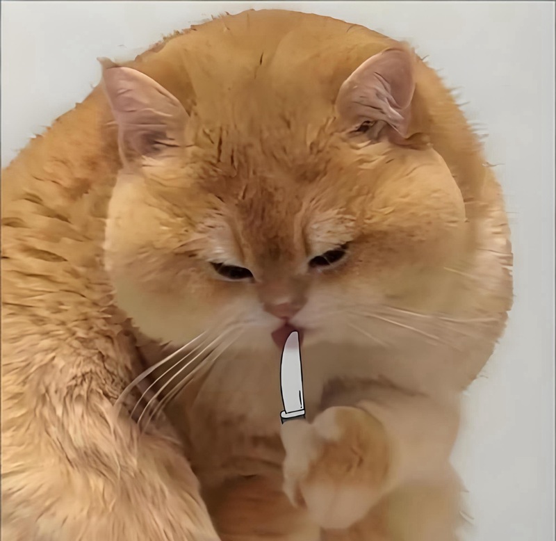 hình ảnh tức giận hài hước 1