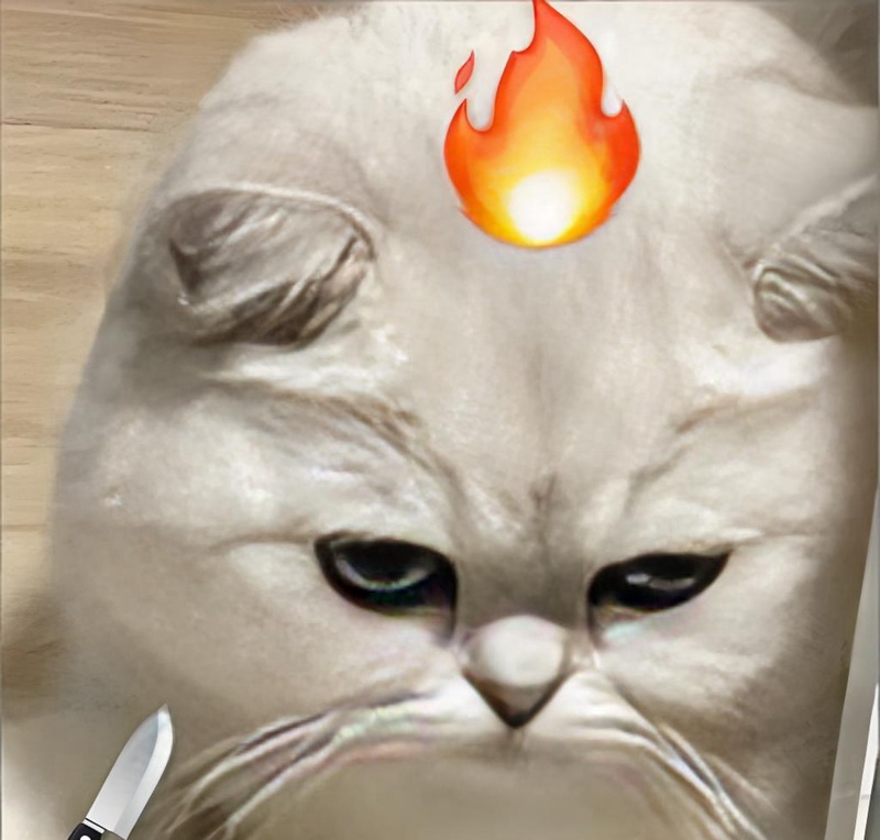 hình ảnh tức giận hài hước 12