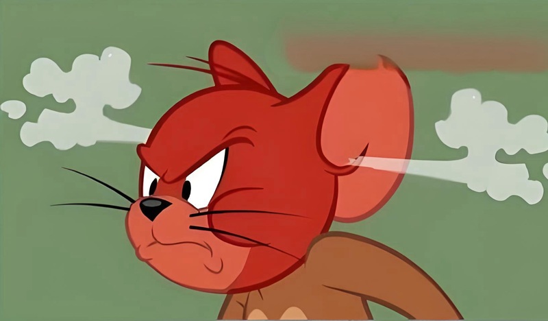 hình ảnh tức giận hài hước 15