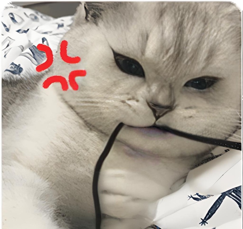 hình ảnh tức giận hài hước 17