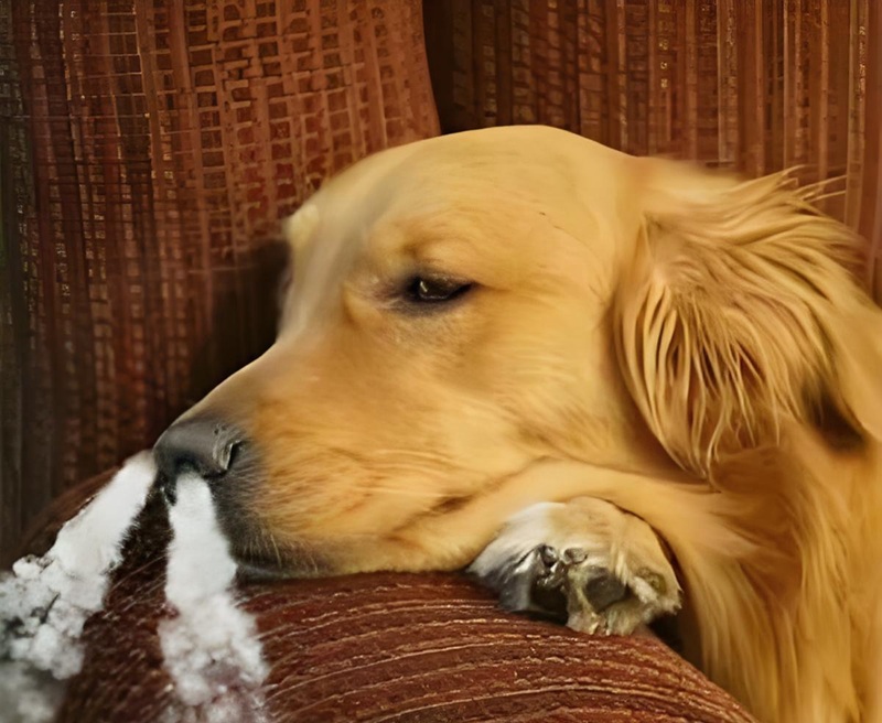 hình ảnh tức giận hài hước 21