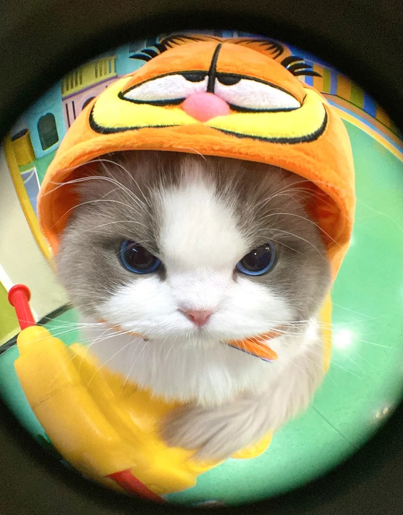 hình ảnh tức giận hài hước 30