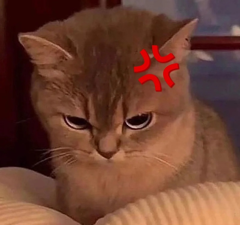 hình ảnh tức giận hài hước 31