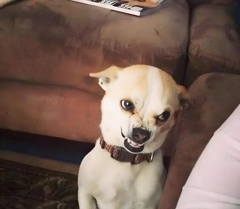 hình ảnh tức giận hài hước 4