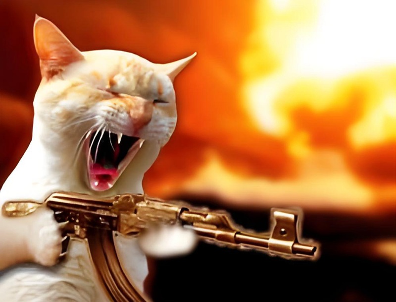 hình ảnh tức giận hài hước 5