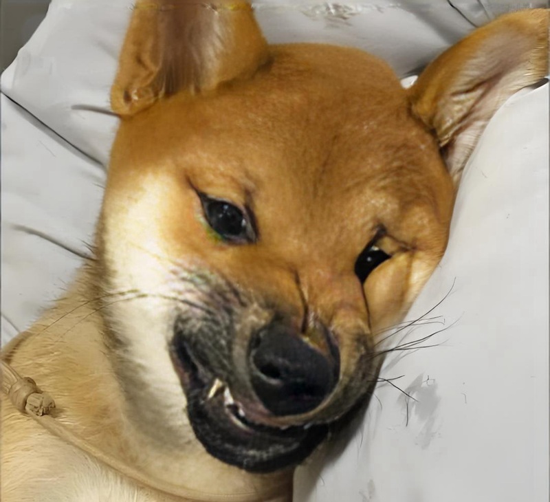 hình ảnh tức giận hài hước 9