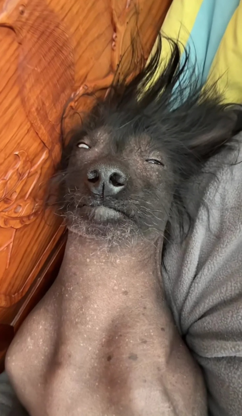 hình ảnh xấu xí hài hước 14