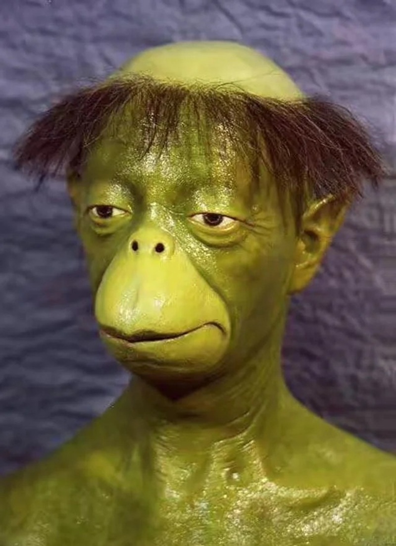 hình ảnh xấu xí hài hước 20