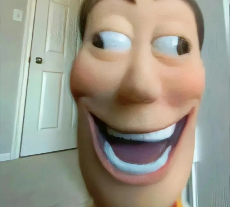 hình ảnh xấu xí hài hước 37