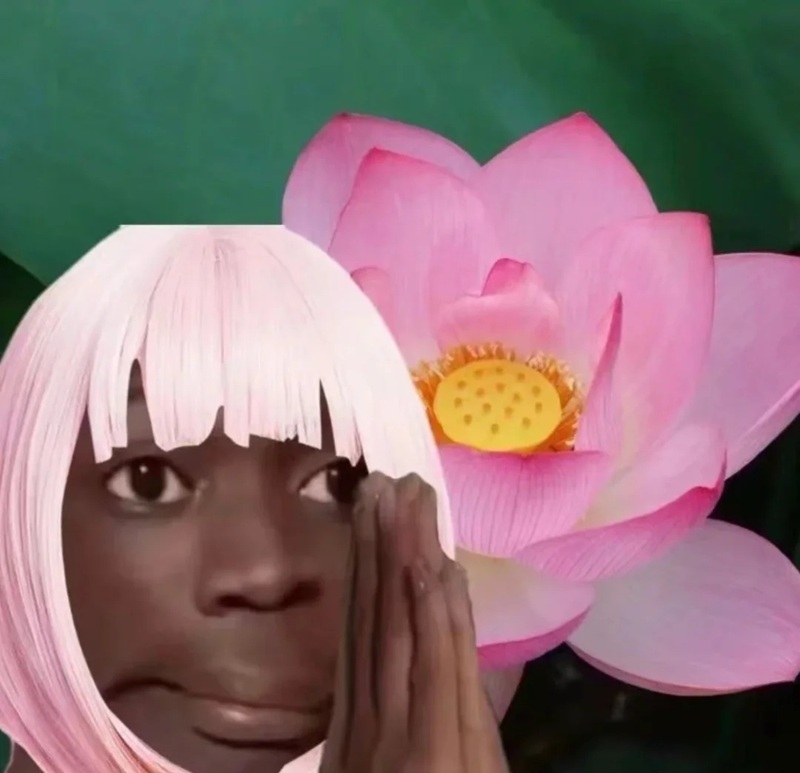 hình ảnh xấu xí hài hước 38