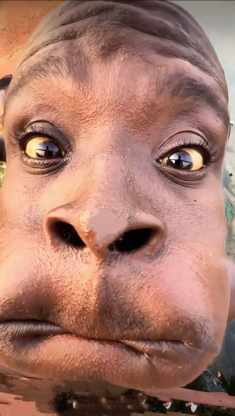 hình ảnh xấu xí hài hước 40