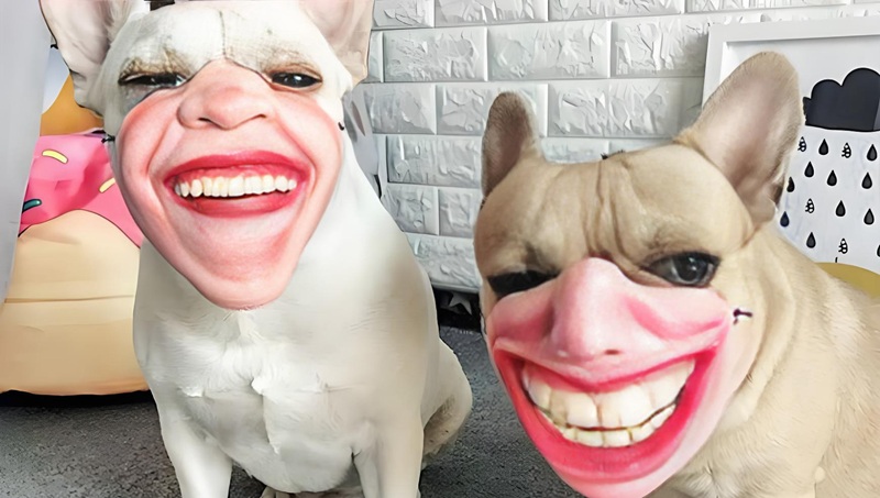 hình ảnh xấu xí hài hước 5